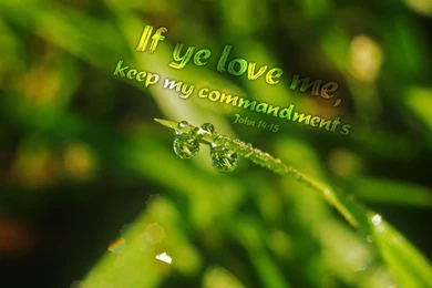 Free Bible Desktop Backgrounds   Nature And Bible