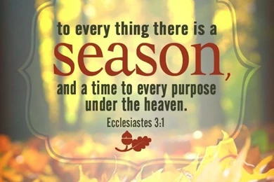Free Ecclesiastes 3:1 Fall Desktop Wallpapers