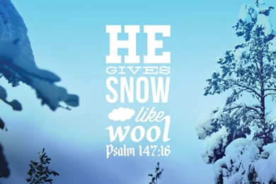 Reformed Quotes On Scripture. QuotesGram