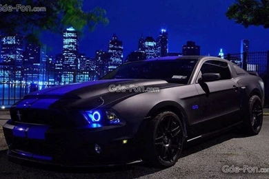 Mustang Car Wallpapers Amazing D52