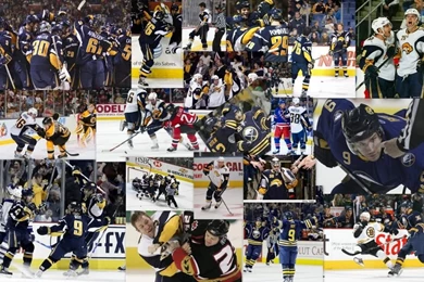Stafezariz: Buffalo Sabres Wallpapers