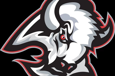 Buffalo Sabres   Wikipedia, The Free Encyclopedia