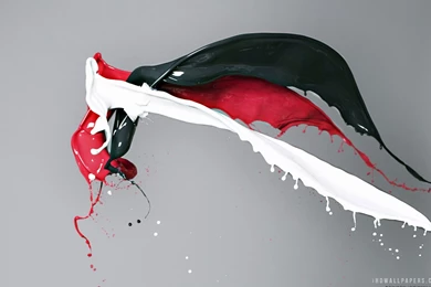 Red White And Black Splash HD Wallpapers   IHD Wallpapers