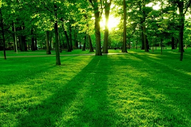 Backgrounds For Desktop HD Wallpapers Desktop Wallpapers ...