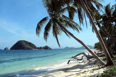 Nice Desktop Backgrounds   HD Wallpapers Lovely