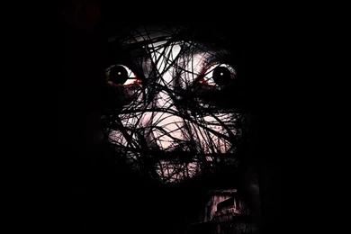 The Grudge   Flikie Wallpapers