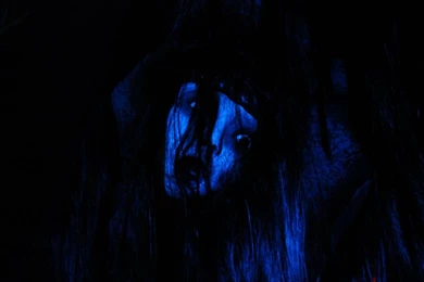 The Grudge   The Grudge Series Photo (23271987)   Fanpop