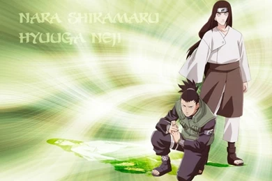 Shikamaru And Neji   Shikamaru Wallpapers (36587539)   Fanpop   Page 5