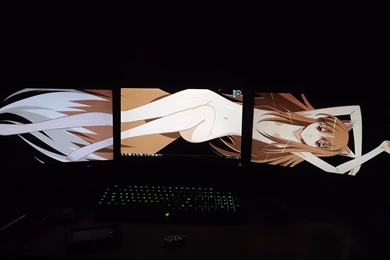 So I Was Starting To Lose Hope On Finding A Spice And Wolf ...