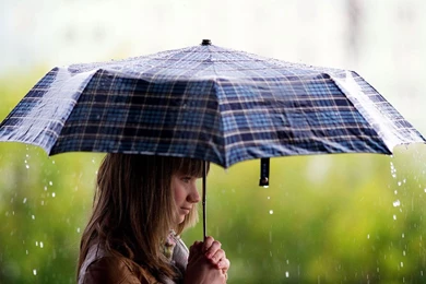 Wallpapers Download3