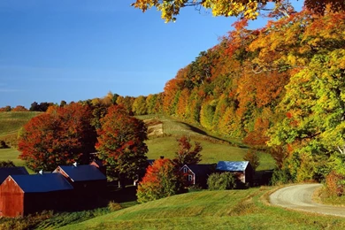 Autumn Wallpapers — Free Full HD Wallpaper. Widescreen HQ Desktop ...