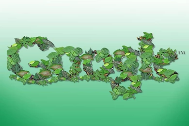 Free Google Backgrounds   Wallpapers Cave