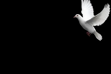 Google Image Result For Http://www.powerpointdesigns.net/images ...