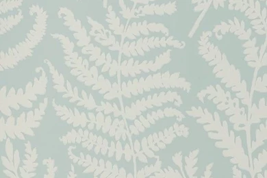 Wild Fern Wallpapers From Clarke & Clarke At Wallpapers Direct ...