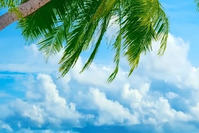 Tropical Beach Resorts HD Desktop Wallpapers : Widescreen : High ...