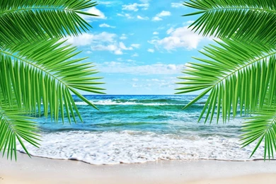 Feb+20+b_tropical beach.jpg