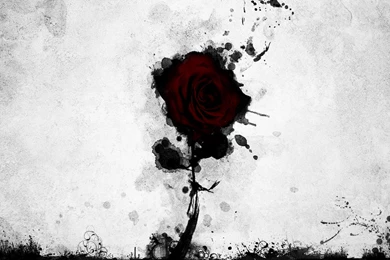 Ink Rose Wallpapers