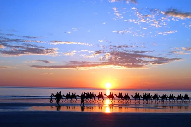 Cable Beach Bahamas Camel Silhouette   HD Wallpapers Rate