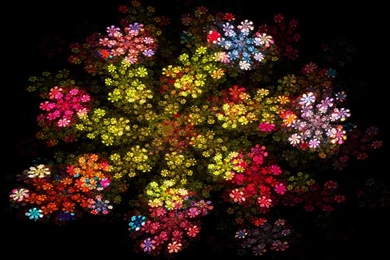 Gorgeous Flowers, Vector, 1920x1080 HD Wallpapers And FREE Stock Photo