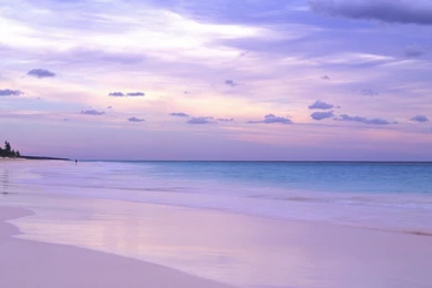 Pink Beach In The Bahamas Wallpapers And Images   Wallpapers ...