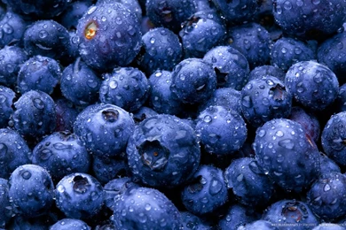 13 Fantastic Free Wallpaper Images