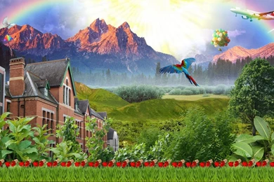 Mushrooms HD Wallpapers