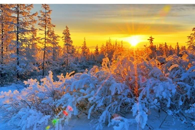 Sunrise Desktop Wallpapers