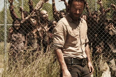 THE WALKING DEAD Horror Drama Dark Zombie T Wallpapers