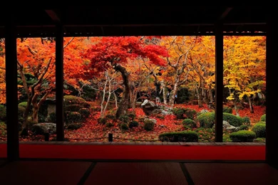 Gorgeous Wallpapers   819498