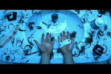 Top 10 Tuesday: The Royal Tenenbaum Screencaps