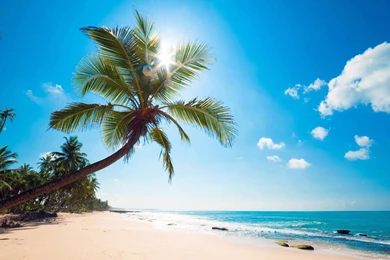 YouWall   Sunny Tropical Beach Wallpapers   Wallpaper,wallpapers ...