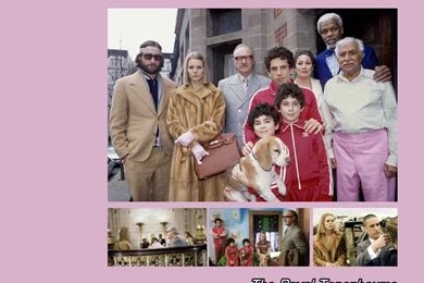 The Royal Tenenbaums   Gwyneth Paltrow Wallpapers (309371)   Fanpop