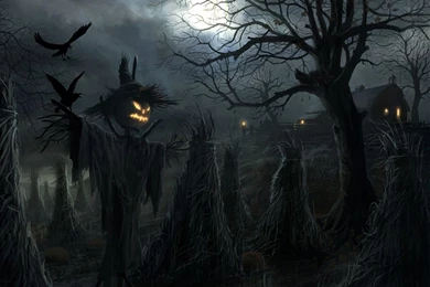 HD Android Wallpapers Img 20