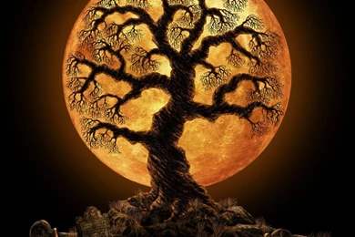 Halloween Tree Galaxy S2 Wallpapers (960x800)