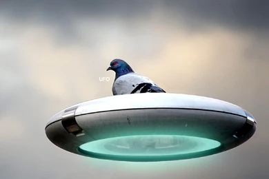 Funny UFO Wallpapers