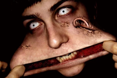 HD Wallpapers Free Stock: November 2012