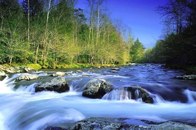 Nature scene wallpapers HD scene wallpapers HD natural wallpapers 196 Download.jpg