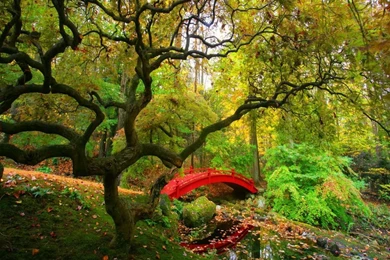 Nature Scenes Images   HD Wallpapers Lovely