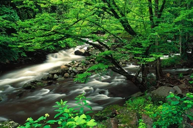 World Landscape Wallpapers Collection (Vol.2) 1280x1024 NO.13 ...