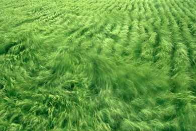 Nature Scene Wallpapers, HD Scene Wallpapers, HD Natural ...