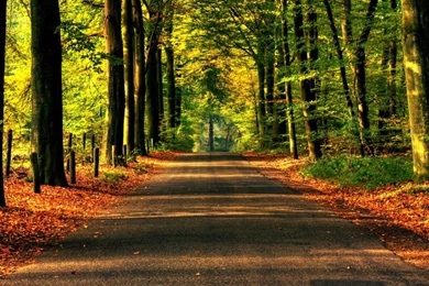 1024x686px Beautiful Nature Scene