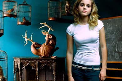 Emma Watson Hot Wallpapers