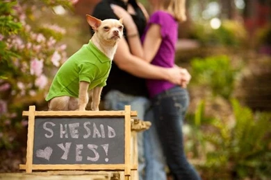 5 valentine day photography.preview.jpg