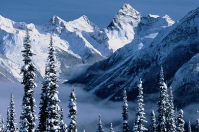 Windows Vista Starter Wallpapers   Download