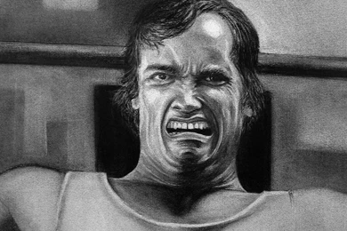 Terminator Iron Trollface Arnold Schwarzenegger Wallpapers HD