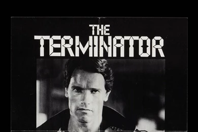 Terminator Arnold Schwarzenegger Wallpapers   (