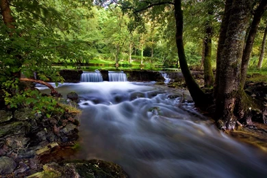 Nature Best Wallpapers HD