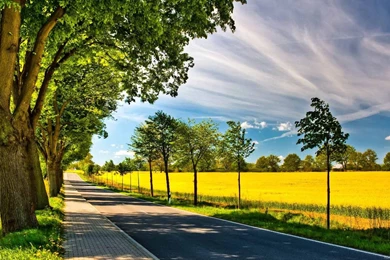 New HD Backgrounds For Editing A Image { Best Backgrounds ...