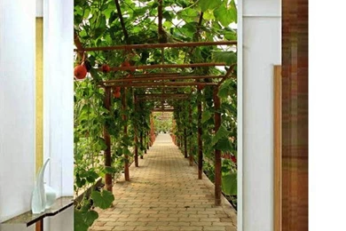 Paper Insert Picture   More Detailed Picture About New Large ...