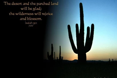 Coby's Blog: Desktop Free Inspirational Wallpapers